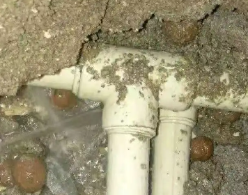 镜湖测漏水多少钱