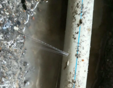 镜湖测漏水哪家好