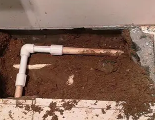 镜湖测漏水哪家好