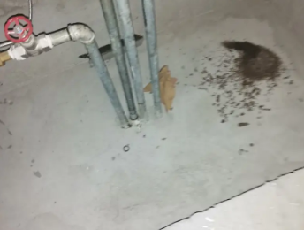 镜湖卫生间测漏水价格明细